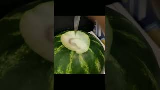 الصيف😎محتاج بطيخ احمر 🍉