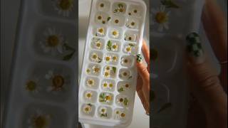 Secret to Crystal Clear Flower Ice Cubes! (They Actually Work!) #FlowerPower