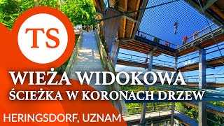 Wieża widokowa i ścieżka w koronach drzew + lotnisko Heringsdorf, Uznam