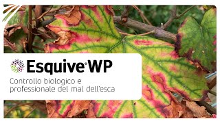 ESQUIVE® WP per contrastare la diffusione delle malattie del legno e del Mal dell'Esca