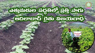 Raised bed system in cotton l ఎత్తుమడుల పద్ధతిలో ప్రతి సాగు ఆదిలాబాద్ రైతు విజయగాధ