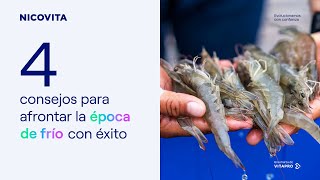 4 consejos para afrontar la época de frío con éxito | Nicovita