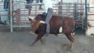 Rabanito De Colima VS El Tirantes