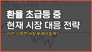 지금 이렇게 하심 돈 법니다