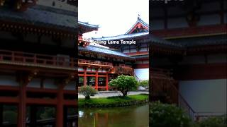 Lama Temple in Beijing: Where Spirituality & Tranquility Meet