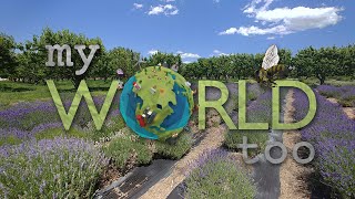 My World Too Series Trailer