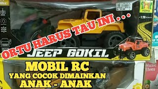 Mobil Rc Yang Cocok Untuk Anak Anak