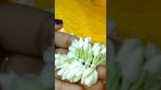 #Shortvdeo#poo#എന്റെ ഇഷ്ടം