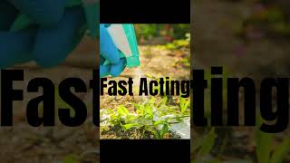 Finalsan Non-Selective Organic Weed Killer: Safe, Effective, and Eco-Friendly