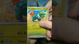 Top Tier Bird Pokemon 🦅 |  Opening Pokemon Cards