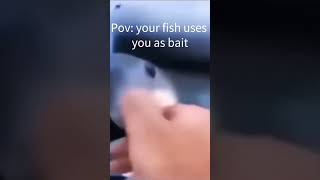 Pov: your bait fishes uses you as food!!!.