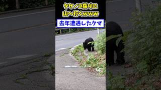 【2ch面白いスレ】タケノコ採りに山へ行くwww