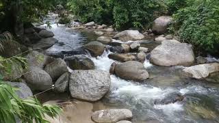 🏞  SONIDO de la NATURALEZA para RELAJARSE y DORMIR profundamente.