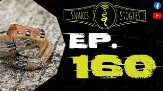 Snakes & Stogies Ep. 160