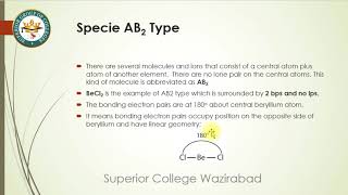 Lecture 05 BS chem zoo 2nd semester