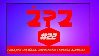 ŻPZ #22 - pielęgnacja wąsa, zapoznanie i kolega złodziej