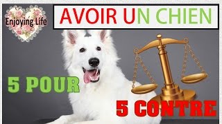 AVOIR UN CHIEN - POINTS POSITIFS, POINTS NÉGATIFS ✿ Enjoying Life