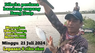 Gimana ga gacor...disini ikanya melimpah || dibuka perdana bandeng Empang Bang Usup Kampung Bojong