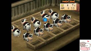 Harvest Moon Trao Đổi Thú Nuôi - Cheat Game Để Làm Giàu Ngay Khi Bắt Đầu - Share Save Của Tui