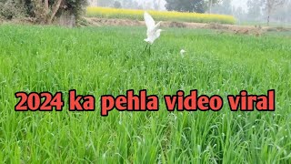 #2024 ka pehla #video #viral