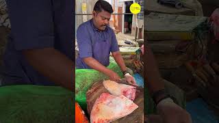 KASIMEDU SPEED SELVAM FISH CUTTING VIDEO / cutting focus #kasimeduselvam #bigfishcutting #bigfish