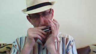 C'est magnifique_harmonica chromatic