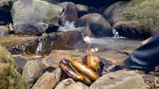 Playing Bushcraft || Grilled Banana & Potato Bushcraft Style || Bushcraft Malaysia