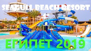 Египет 2019. Отель Seagull Beach Resort 4* Территория и Пляж