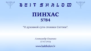 ПИНХАС 5784. "О духовной сути стоянки Ситтим". (Александр Огиенко 27.07.2024)