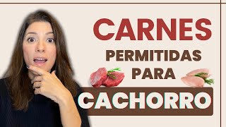 Qual carne cachorro pode comer? Quais carnes são permitidas para cães?