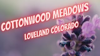 Homes in southwest Loveland Colorado