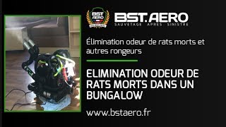 Machine pour enlever odeur de rats morts