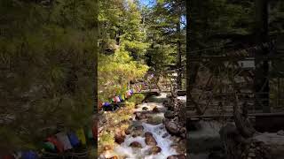 Serene Flow of the Parvati River in Himachal Pradesh | Travel phactory #shorts #parvativalley