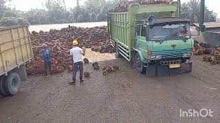 aktivitas truk sawit bongkar pabrik,sangat luar biasa!!@suriadi kw loader