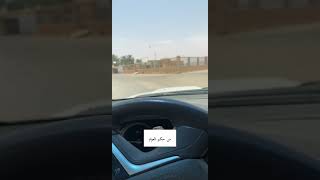 من حكم العوام