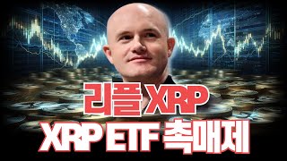 리플 XRP XRP ETF 촉매제