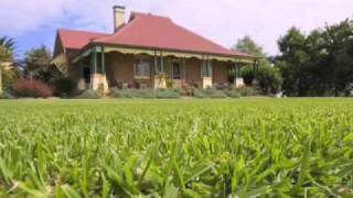 How to fertilize your lawn / Lawn mowing & feeding