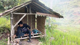 SEMUA ORANG RINDU SUASANA SEPERTI INI ⁉️BERBURU BELALANG SAWAH NOTALGIA WAKTU KECIL