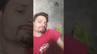 mummy mujhe bukhar Ho Gaya | S ANANT VLOGS #parrot #funny