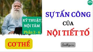 Phần 2-6│SÁCH "KỸ THUẬT NỘI TÂM" │CƠ THỂ │SỰ TẤN CÔNG CỦA NỘI TIẾT TỐ│Sadhguru