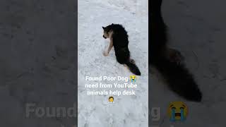 found poor dog 😭 🦮 need help from you tube animals help desk official 🧑‍⚕️#shorts