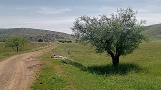 جمعه مبارك علينا وعليكم رمضان كريم! نتمنى لكم شهرًا مليئًا بالبركة والسعادة تقبل الله يارب العالمين