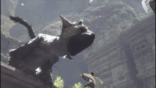 The Last Guardian - Trico's Tail Saves The Boy