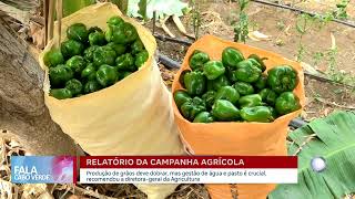 Relatório da campanha agrícola | Fala Cabo Verde