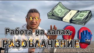 Работа на лапах - разоблачение. Мода. Псевдобоксеры.