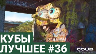 Best Coubs | Кубы лучшее #36