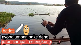 mancing hari ini//dapat strike yang mengejutkan🤗joran sampai melengkung