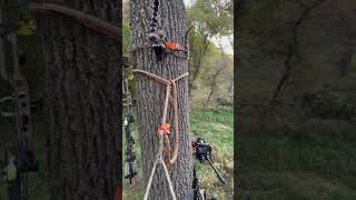 Calm and colorful morning hunt in Iowa! #publicland #mathewsarchery #bowhunting #publiclandhunting