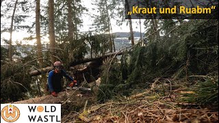 Windwürfe im Steilhang abstocken für den Baggerprozessor