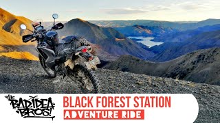 Black Forest Adventure Ride | CRF Rally, Transalp & KLR250 | New Zealand